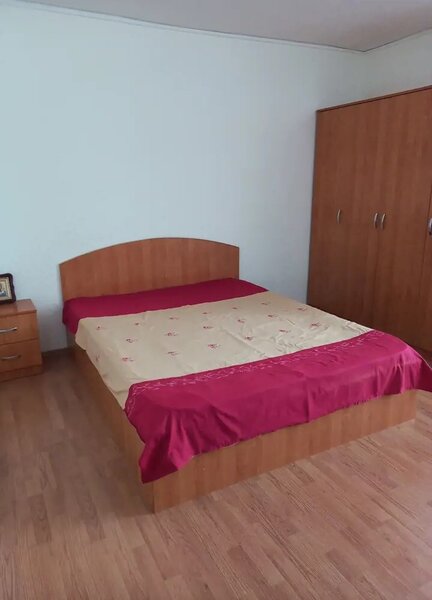 Pantelimon, Delfinului